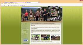 Eselwandern im Harz in Ilsenburg